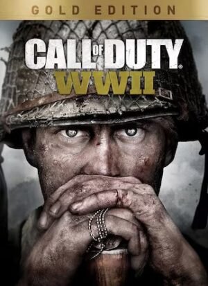CALL OF DUTY WWII GOLD EDITION PS4
