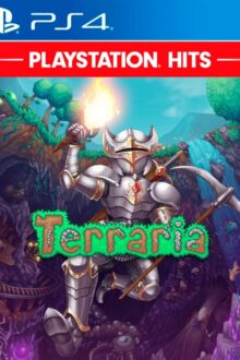Terraria PS4